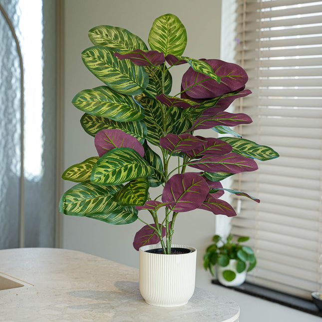 Calathea Bush im Topf - Kunstpflanze - 65 cm