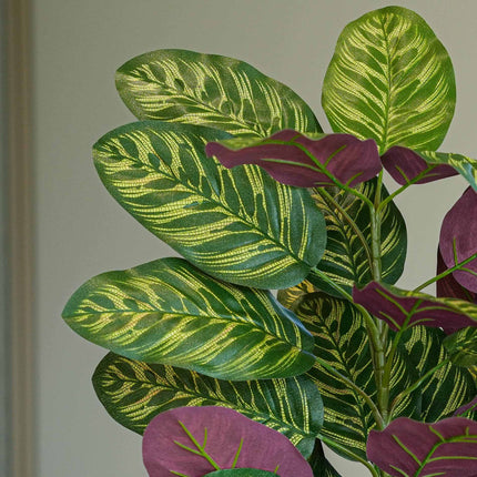 Calathea Bush im Topf - Kunstpflanze - 65 cm