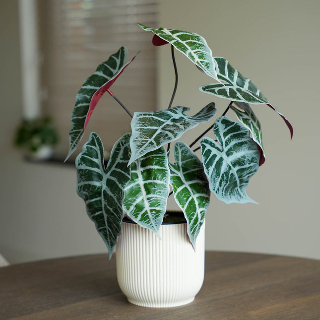 Alocasia bush in pot 40 cm - Artificial plant