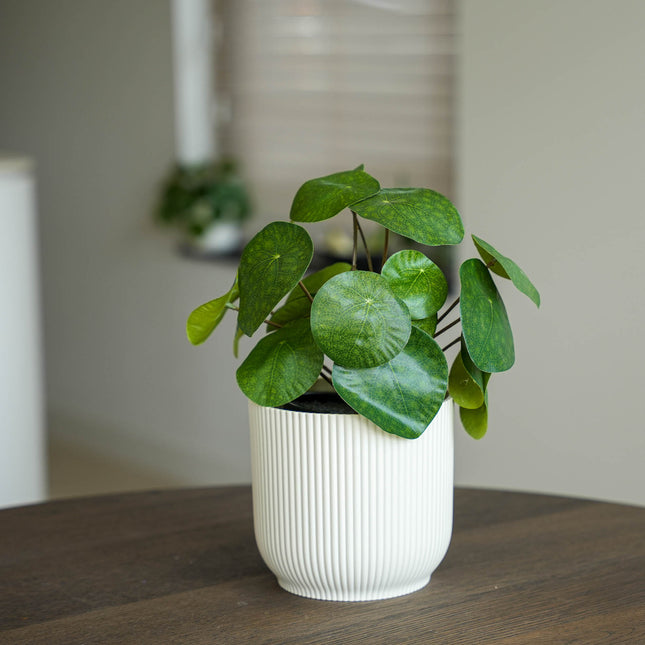 Pilea bush 25 cm in black pot - Artificial plant
