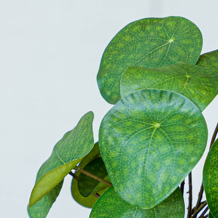 Pilea Busch 25 cm im schwarzen Topf - Künstliche Pflanze