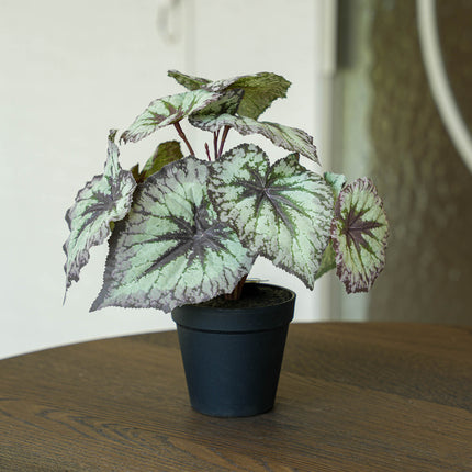 Begonia 26 cm - Potted - Grey Purple leaves - Artificial plant - UV - Indoor & Outdoor