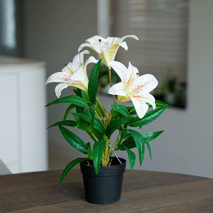 Lily cream 3 pcs - Bundle product - Artificial plants