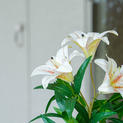 Lily cream 3 pcs - Bundle product - Artificial plants