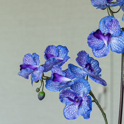 Orchidee Vanda Kunstpflanze 60 cm – Lila – Im Topf