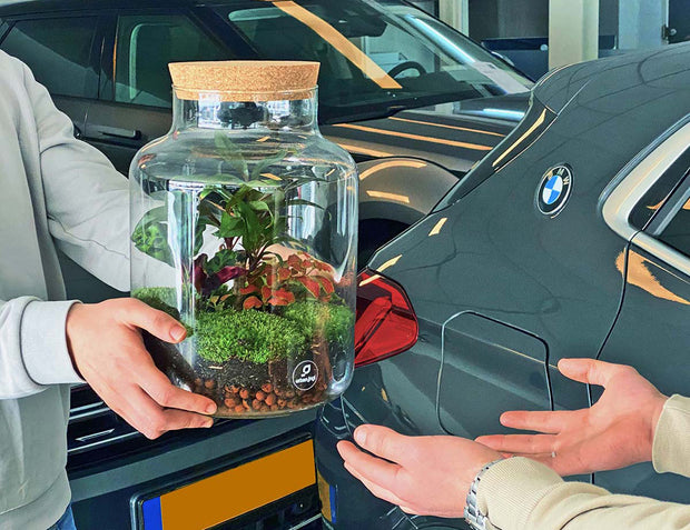 autodealer geschenk - bos bloemen alternatief