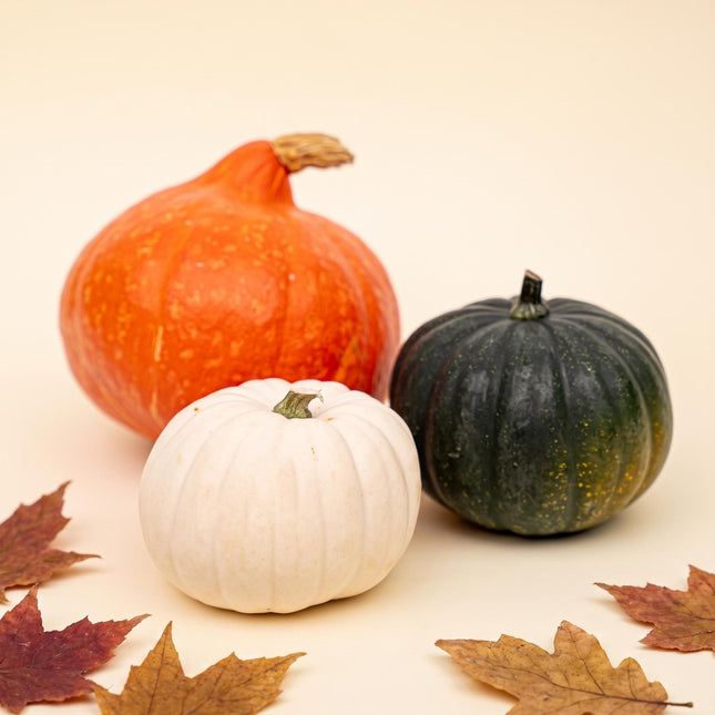 Pumpkin set - Real - Hokkaido, Black Cat, White - 3 pcs