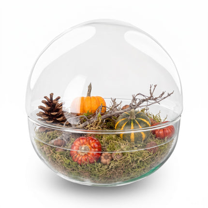 Herbst Terrarium Dome XL Ø 28cm ↑ 28cm + Deko-Set Medium