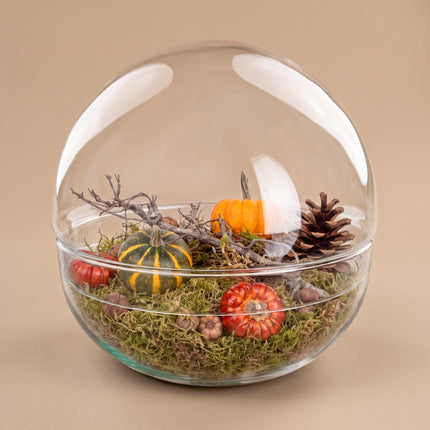 Herbst Terrarium Dome XL Ø 28cm ↑ 28cm + Deko-Set Medium