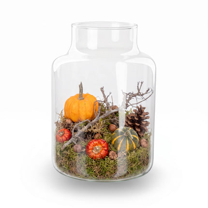 Herbst Terrarium Little Milky Ø 17cm ↑ 25cm Medium Kit