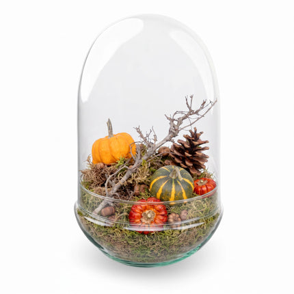 Herbst Flaschengarten - Egg XL mit Deko-Set Medium 2 Kürbisse