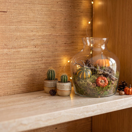 Herbst Terrarium Little Joe Ø 20cm ↑ 22cm Medium Deko 2 Kürbisse