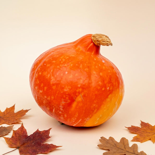 Hokkaido pumpkin - Red/Orange - Real - Ø 17 cm - 1,5 kg