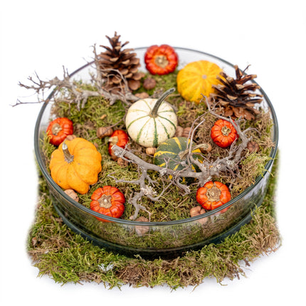 Autumn bowl Large - Glass Ø 29 cm with pumpkins, moss, cones