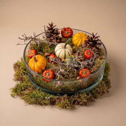 Autumn bowl Large - Glass Ø 29 cm with pumpkins, moss, cones