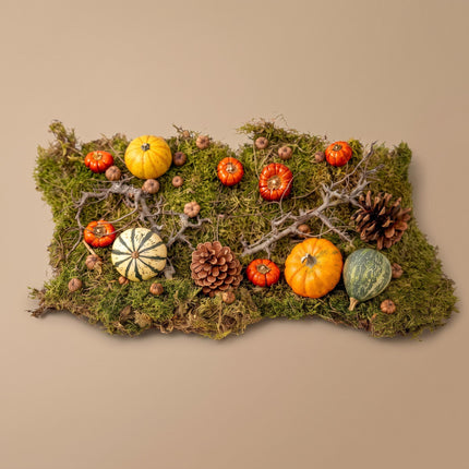 Autumn deco kit 4 real Pumpkins Ø 6 cm + moss wood cones
