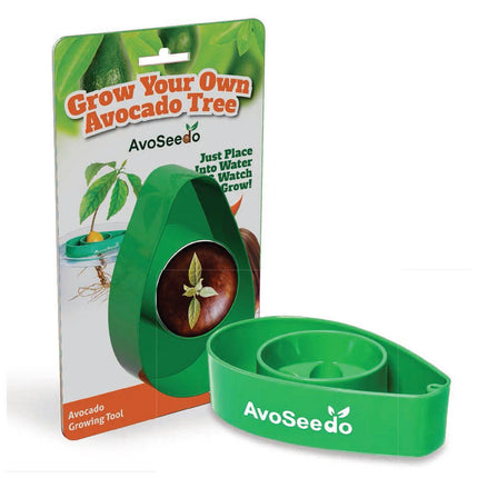 AvoSeedo: Growing an avocado plant yourself?