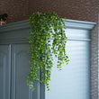Artificial Eucalyptus - Hanging plant - 75 cm