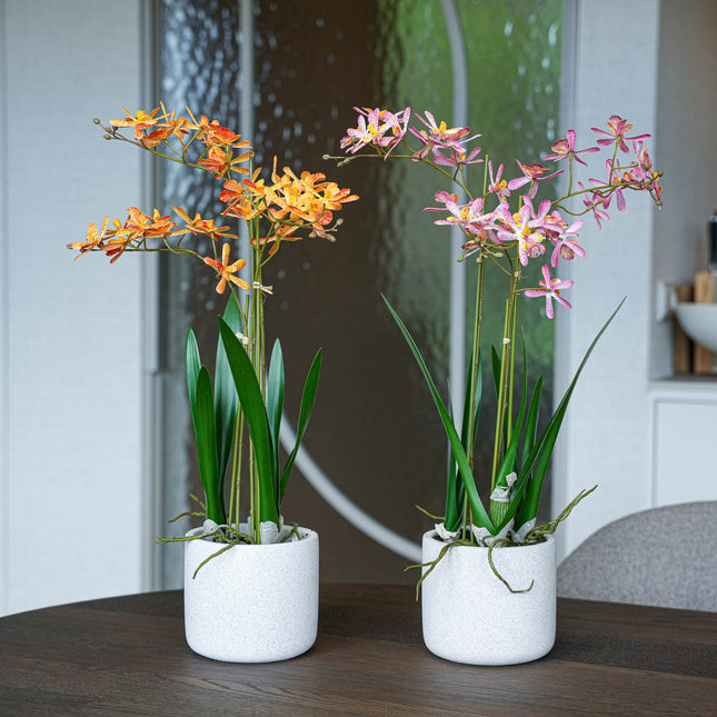 Renanthera orchideen mix - 2 Stück - Kunstpflanzen - Bundle-Set