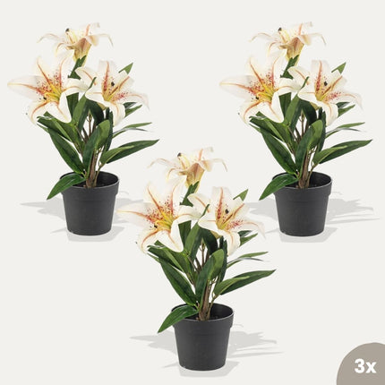 Lily cream 3 pcs - Bundle product - Artificial plants