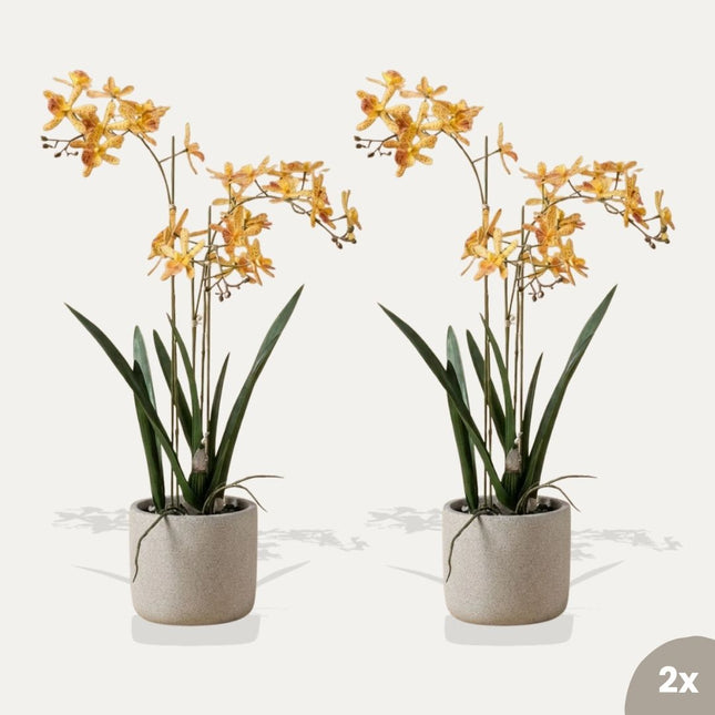 Renanthera Orchidee gelb/orange 2 Stück - Bündelprodukt - Kunstpflanzen