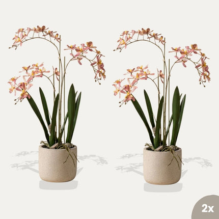 Renanthera Orchidee rosa 2er-Set - Bündelprodukt - Kunstpflanzen
