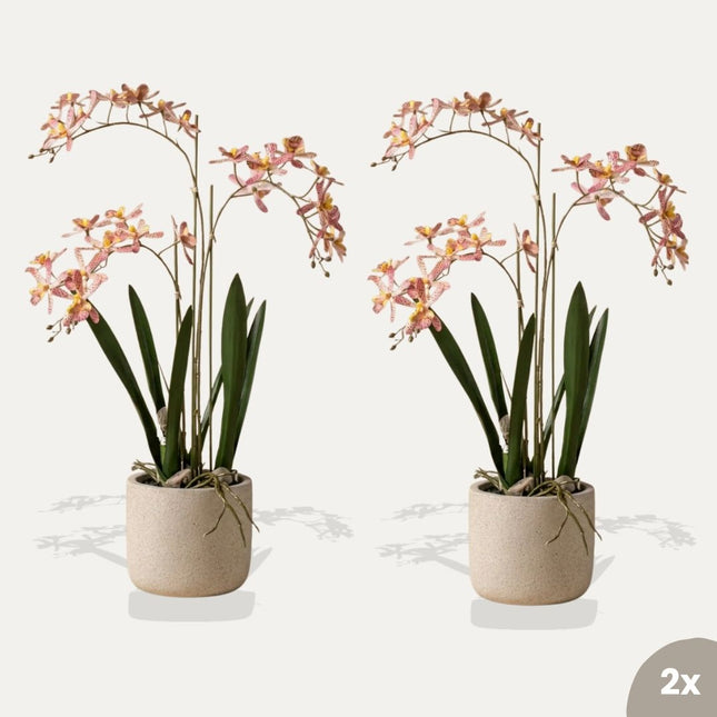 Renantera Orchid pink 2pcs - Bundle product - Artificial plants