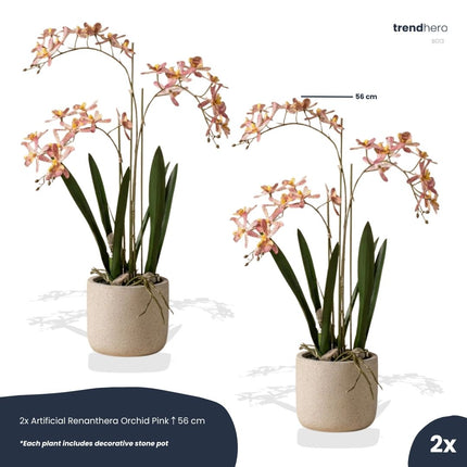 Renanthera Orchidee rosa 2er-Set - Bündelprodukt - Kunstpflanzen
