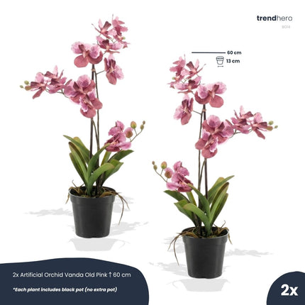 Orchidee Vanda rosa 2er-Set - Bündelprodukt - Kunstpflanzen
