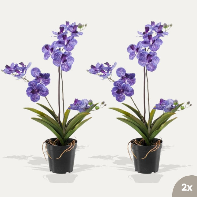 Orchid Vanda purple 2pcs - Bundle product - Artificial plants