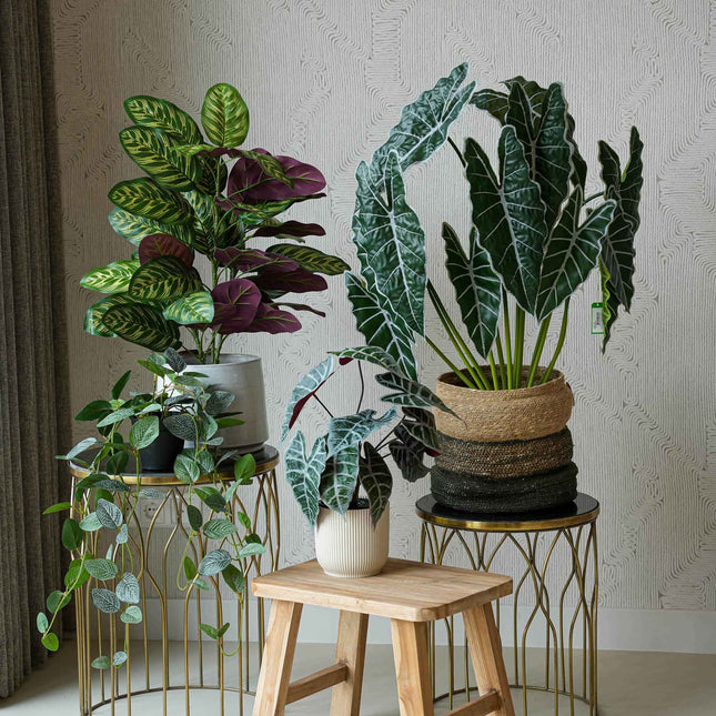 Costa Rica - Bundle product - Artificial plants