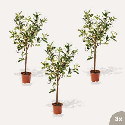 Olive mini 3er-Set - Bündelprodukt - Kunstpflanzen

