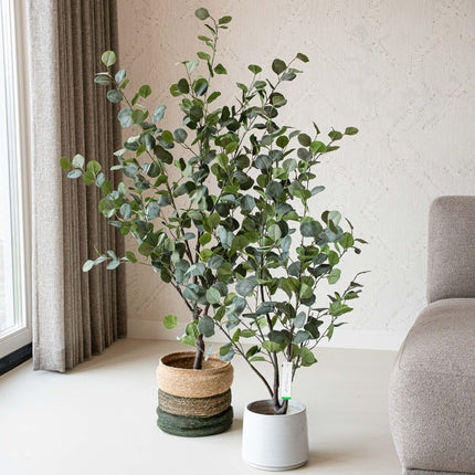 Eukalyptus Mix 2er-Set - Bündelprodukt - Kunstpflanzen
