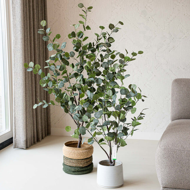 Eucalyptus mix 2pcs - Bundle product - Artificial plants