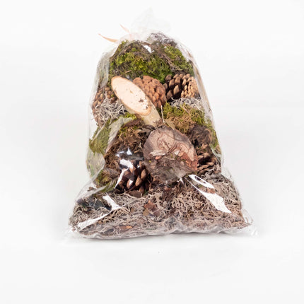 Flaschengarten Forest mix - Moos, Zapfen, Holz - 0,75 m2