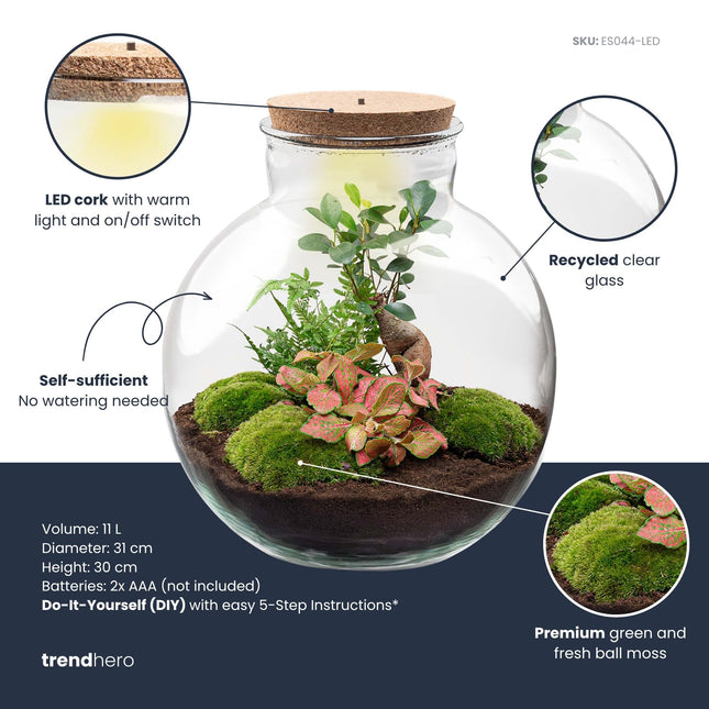 Bolder Bob Bonsai - Flaschengarten mit Licht - DIY Terrarium mit Pflanzen im Glas - Ø 31 cm ↑ 30 cm