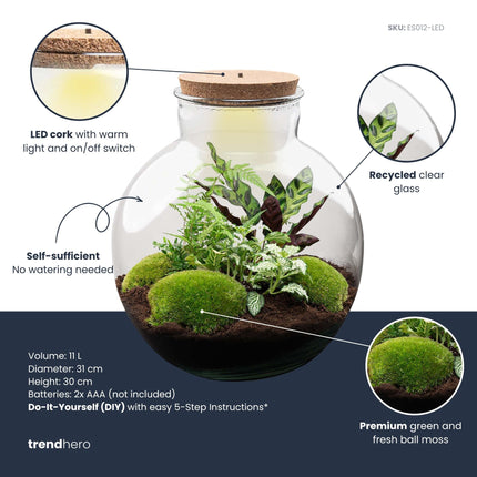Bolder Bob - Flaschengarten mit Licht - DIY Terrarium mit Pflanzen im Glas - Ø 31 cm ↑ 30 cm