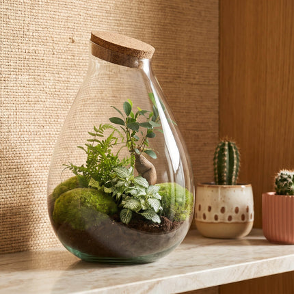 Drop XL Green - Terrarium with cork - Bottle garden DIY kit – Ø 24 cm ↑ 37 cm