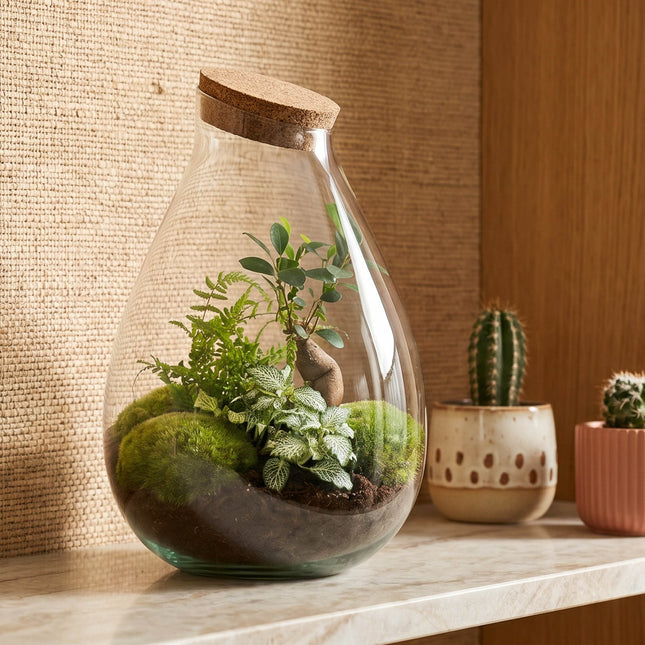 Drop XL Green - Terrarium with cork - Bottle garden DIY kit – Ø 24 cm ↑ 37 cm