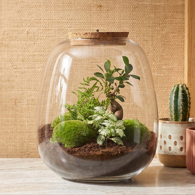 bottle garden green emma terrarium