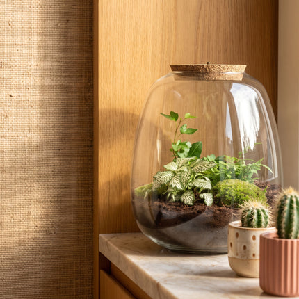 Emma - Hedera White - Flaschengarten mit Licht - DIY Terrarium mit Pflanzen im Glas - Ø 23 cm ↑ 25 cm