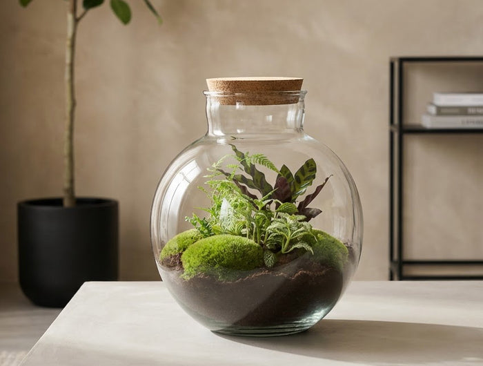 Bottle Garden