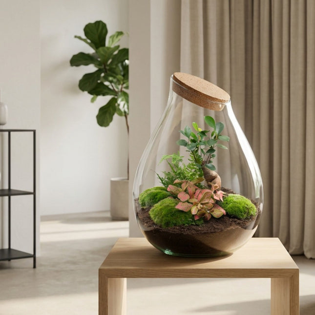 Drop XXL Bonsai - Flaschengarten mit Korken - DIY Terrarium mit Pflanzen im Glas - Ø 34 cm ↑ 43 cm