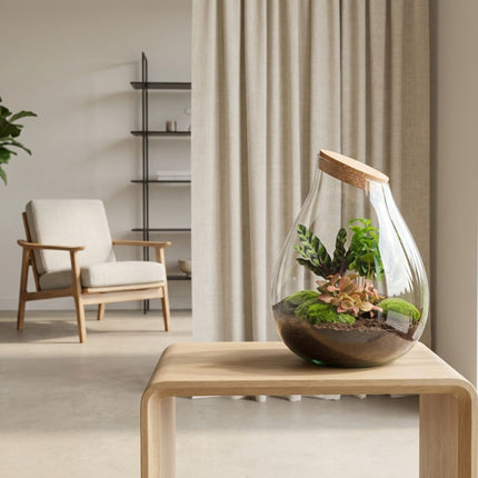 Drop XXL Rot - Flaschengarten mit Korken - DIY Terrarium mit Pflanzen im Glas - Ø 34 cm ↑ 43 cm