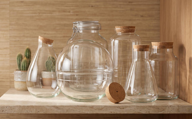 Bottle gardens (bottle only)