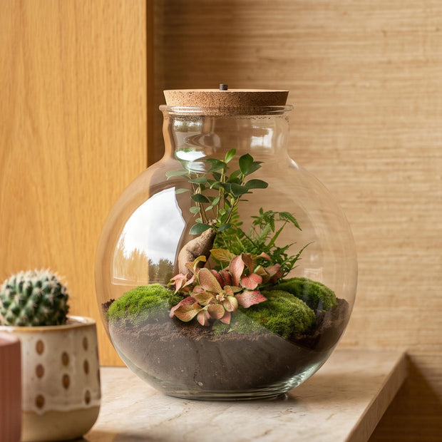 Pflanzenterrarium