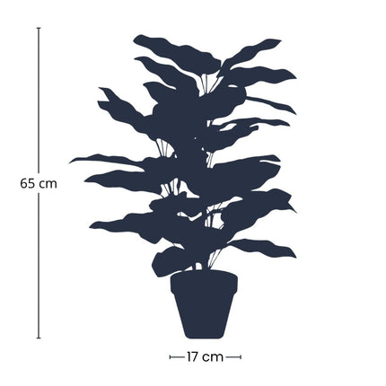 Calathea Bush im Topf - Kunstpflanze - 65 cm