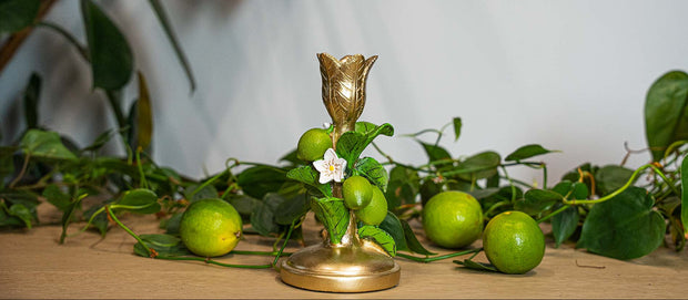 Decoration & Accessories