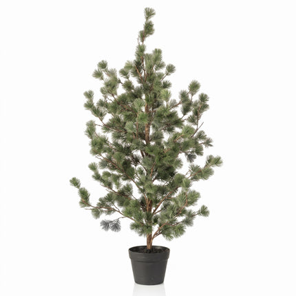 Kiefer baum (Cedar Pine) 80, 120 & 150 cm - Kunstpflanze im Topf
