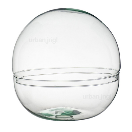 Kugelglas - Glasglocke - Geschlossenes Terrarium ↑30 cm